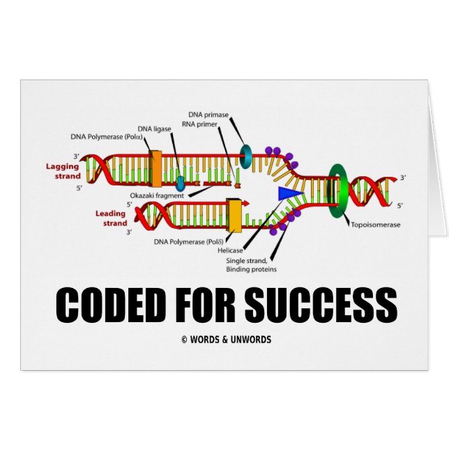 Gecodeerd voor succes (DNA-replicatie) (Voorkant Horizontaal)