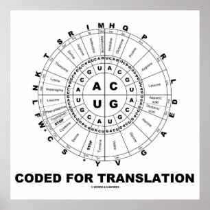 Gecodeerd voor vertaling (RNA Codon Wheel) Poster