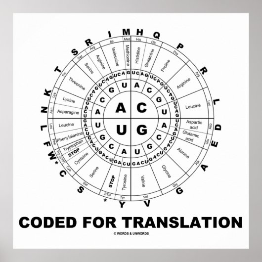 Gecodeerd voor vertaling (RNA Codon Wheel) Poster (Voorkant)