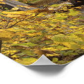 Gecodeerde brug, Vermont, Verenigde Staten 2 Poster (Hoek)