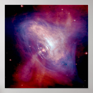 Gecombineerde röntgenfoto- en optische Afbeeldinge Poster