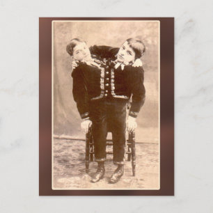 Gecombineerde Twins  kaarten en Briefkaarten