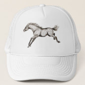 *Geconfronteerd softwareprogramma Trucker Pet (Voorkant)