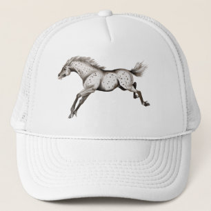*Geconfronteerd softwareprogramma Trucker Pet