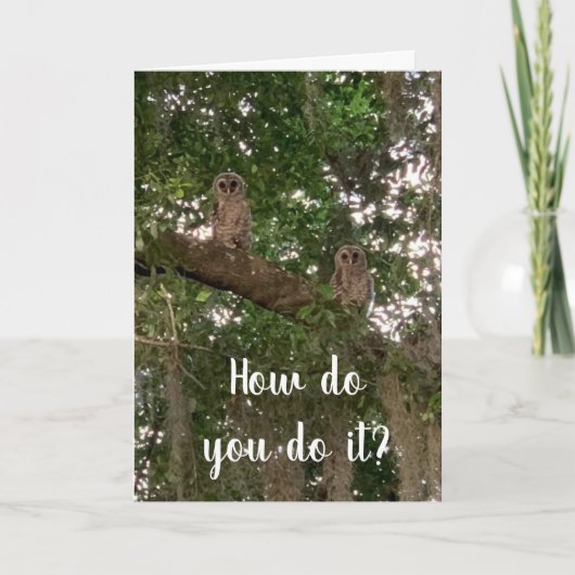 GECONFUSEERDE OWLS WETEN NIET HOE JE HET DOET. KAART (Voorkant)