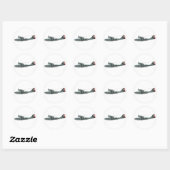 Geconsolideerde PBY-5A Catalina Ronde Sticker (Vel)