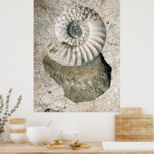 GECRACKEERDE NAUTILUS SHELL POSTER (Keuken)