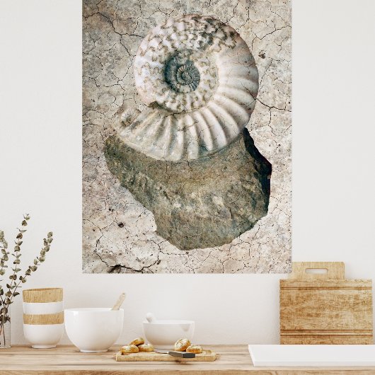 GECRACKEERDE NAUTILUS SHELL POSTER (Keuken)