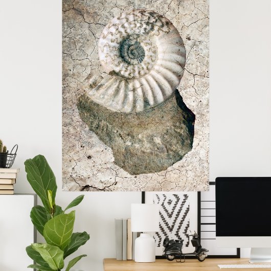 GECRACKEERDE NAUTILUS SHELL POSTER (Thuiskantoor)