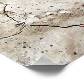 GECRACKEERDE NAUTILUS SHELL POSTER (Hoek)