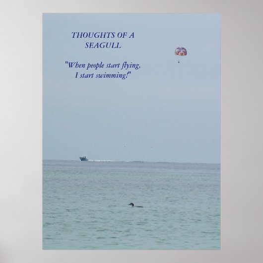 Gedachten over een Poster van de zeemeeuw (Voorkant)