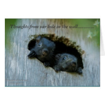 Gedachten van ons gat in de muur.....