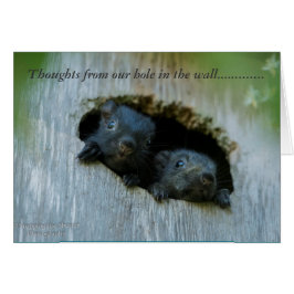 Gedachten van ons gat in de muur.....