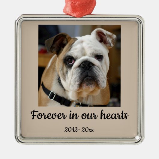 Gedateerde aangepaste foto Bulldog hond ter nageda Metalen Ornament (Voorkant)