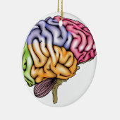 Gedeelde menselijke hersenanatomie keramisch ornament (Rechts)