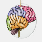 Gedeelde menselijke hersenanatomie keramisch ornament (Links)