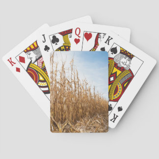 Gedeeltelijk geoogste Corn-veld Pokerkaarten