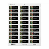 Gedeelten van het World II Label (Full Sheet)