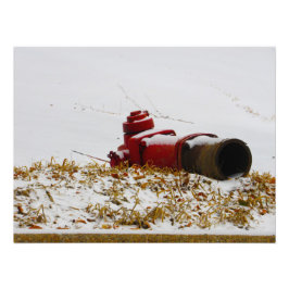 "Gedehydrateerd" Foto Afdruk