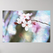 Gedekte Cherry Blossom Poster (Voorkant)