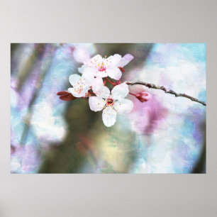 Gedekte Cherry Blossom Poster