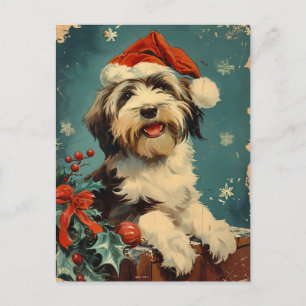 Gedekte Collie Kerstmis Briefkaart