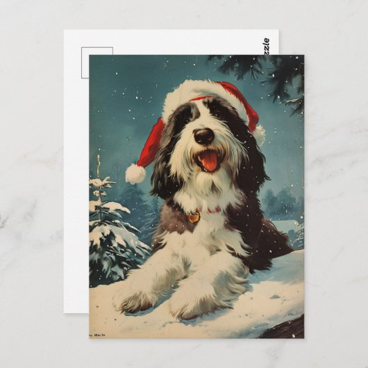 Gedekte Collie Kerstmis Briefkaart (Voorkant / Achterkant)