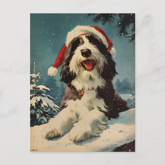 Gedekte Collie Kerstmis Briefkaart (Voorkant)