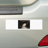 Gedekte draak 2 bumpersticker (Op auto)