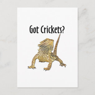 Gedekte draak heeft crickets briefkaart