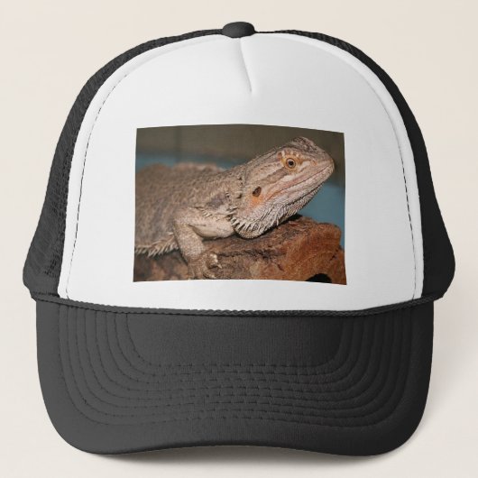 Gedekte draak trucker pet (Voorkant)