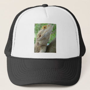 Gedekte draak trucker pet