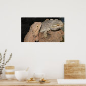 Gedekte Dragons Poster (Keuken)