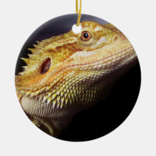 Gedekte drakenkop 2 keramisch ornament