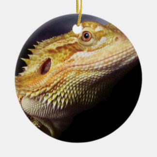 Gedekte drakenkop 2 keramisch ornament