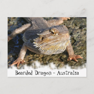 Gedekte Drakenreeks Briefkaart