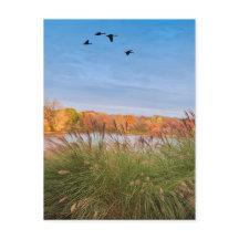 Gedekte herfst Connecticut