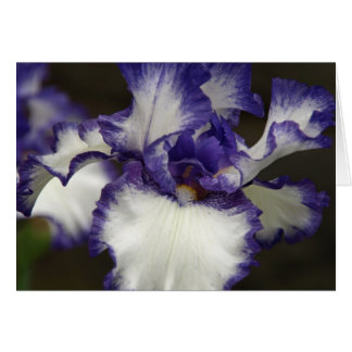 Gedekte Iris