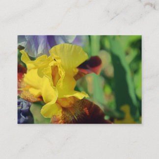 Gedekte Iris #1 Visitekaartjes