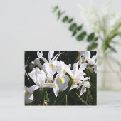 Gedekte Iris Briefkaart (Staand voorkant)