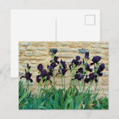 Gedekte Iris Briefkaart (Voorkant / Achterkant)