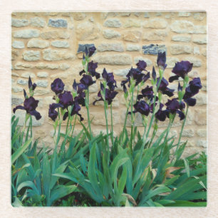 Gedekte Iris Glazen Onderzetter