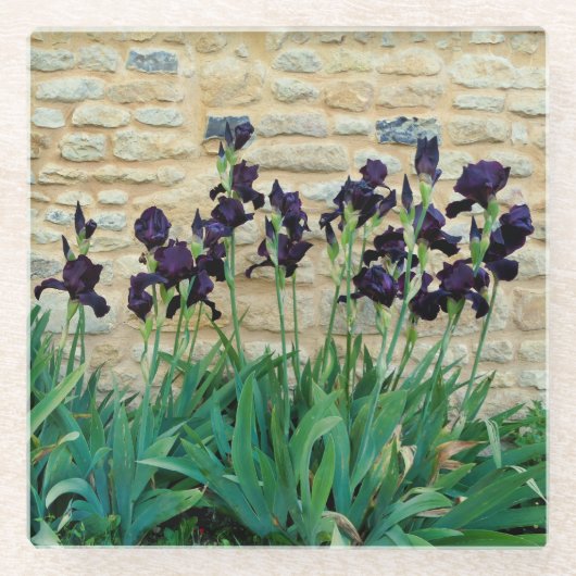 Gedekte Iris Glazen Onderzetter (Voorkant)