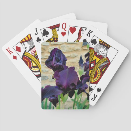 Gedekte Iris Pokerkaarten (Achterkant)