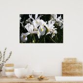 Gedekte Iris Poster (Keuken)