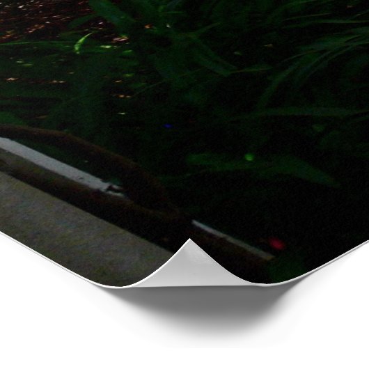 Gedekte loopbaan poster (Hoek)