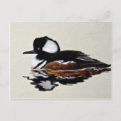 Gedekte merganser briefkaart (Voorkant)