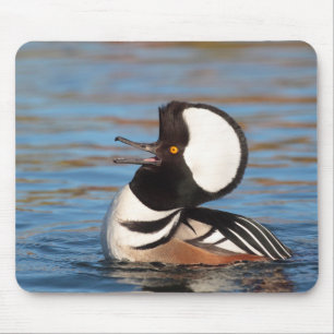 Gedekte Merganser Calling Muismat