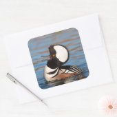 Gedekte Merganser Calling Vierkante Sticker (Envelop)