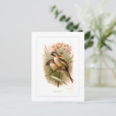 Gedekte reedling briefkaart (Staand voorkant)